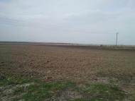 Романів з panoramio.com