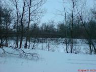 Омельник з panoramio.com