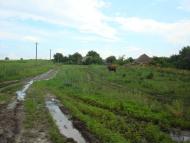 Побузьке з panoramio.com