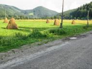 Лопушна - Останні фото