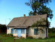 Нетреба з panoramio.com