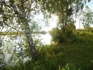 Літки - Останні фото