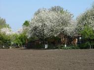 Середняки з panoramio.com