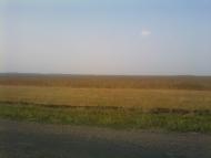 Угроїди з panoramio.com