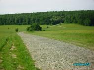 Білецьке з panoramio.com