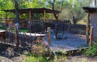 Антонівка з panoramio.com