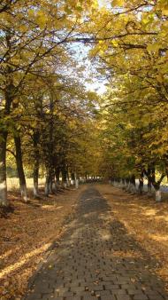 Волноваха з panoramio.com