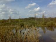 Чорноплатове з panoramio.com