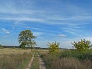 Горошине з panoramio.com