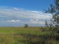 Горошине з panoramio.com