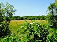 Козацьке з panoramio.com