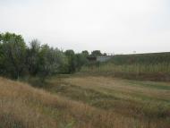 Фрунзе з panoramio.com