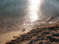 Молочне з panoramio.com