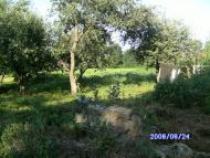 Жоравка - Останні фото