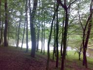 Гаразджа з panoramio.com