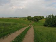 Губник - Останні фото