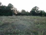 Люлинці з panoramio.com