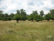 Глоди з panoramio.com