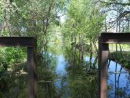 Вільшане з panoramio.com