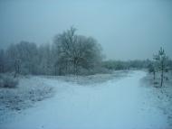 Вольниця з panoramio.com