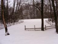 Шишаки з panoramio.com