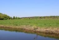 Озерне з panoramio.com