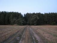 Велика Чернеччина - Останні фото