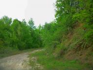 Щасливе з panoramio.com