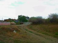 Шевченкове з panoramio.com