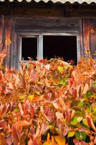 Селянщина з panoramio.com