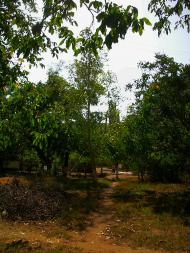 Верхоріччя з panoramio.com