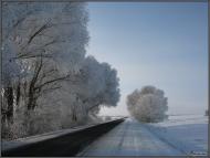 Гнатенки з panoramio.com