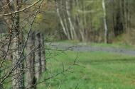 Рудня-Новенька з panoramio.com