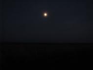 Горошине з panoramio.com