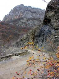 Зеленогір'я з panoramio.com