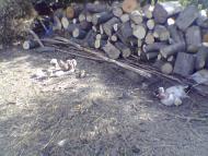 Дроздні з panoramio.com