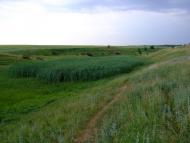 Мале з panoramio.com