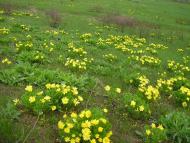 Жовтневе - Останні фото