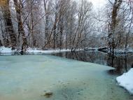 Борзна з panoramio.com