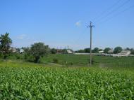 Білозір'я - Останні фото