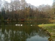 Карпати з panoramio.com