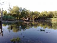 Троїцьке з panoramio.com