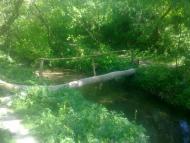 Блищанівка з panoramio.com