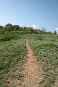 Олександро-Калинове з panoramio.com