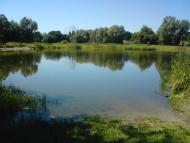 Кирияківщина з panoramio.com