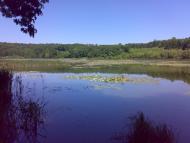 Іваниця - Останні фото