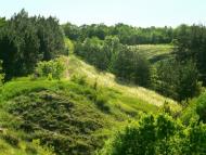 Федорівка з panoramio.com