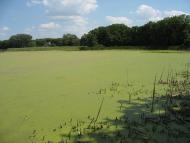 Кримське з panoramio.com