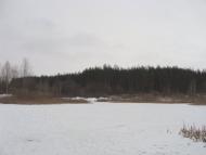 Циркуни з panoramio.com