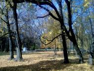 Дубовичі з panoramio.com